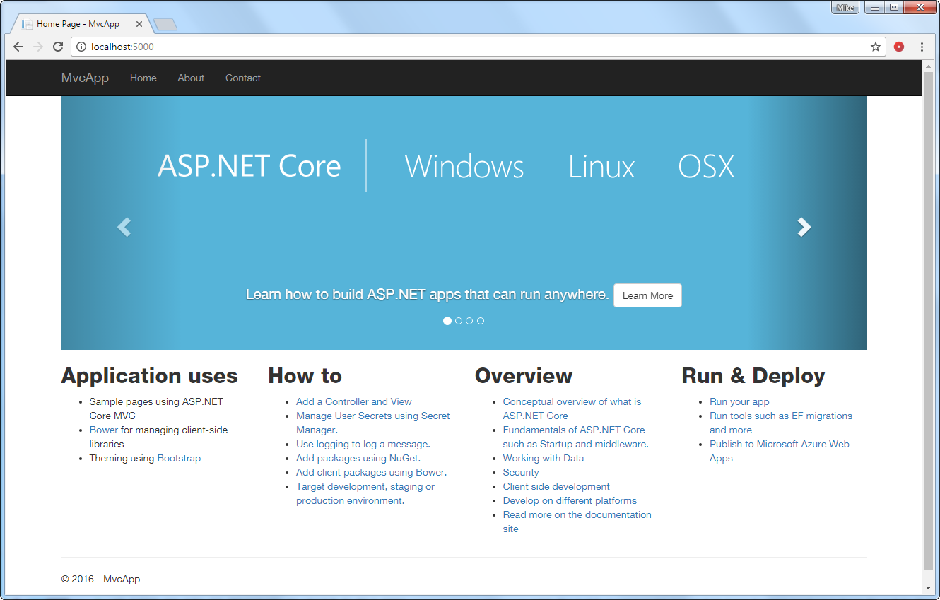 ASP.NET Core application running in browser